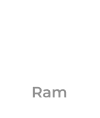 Ram